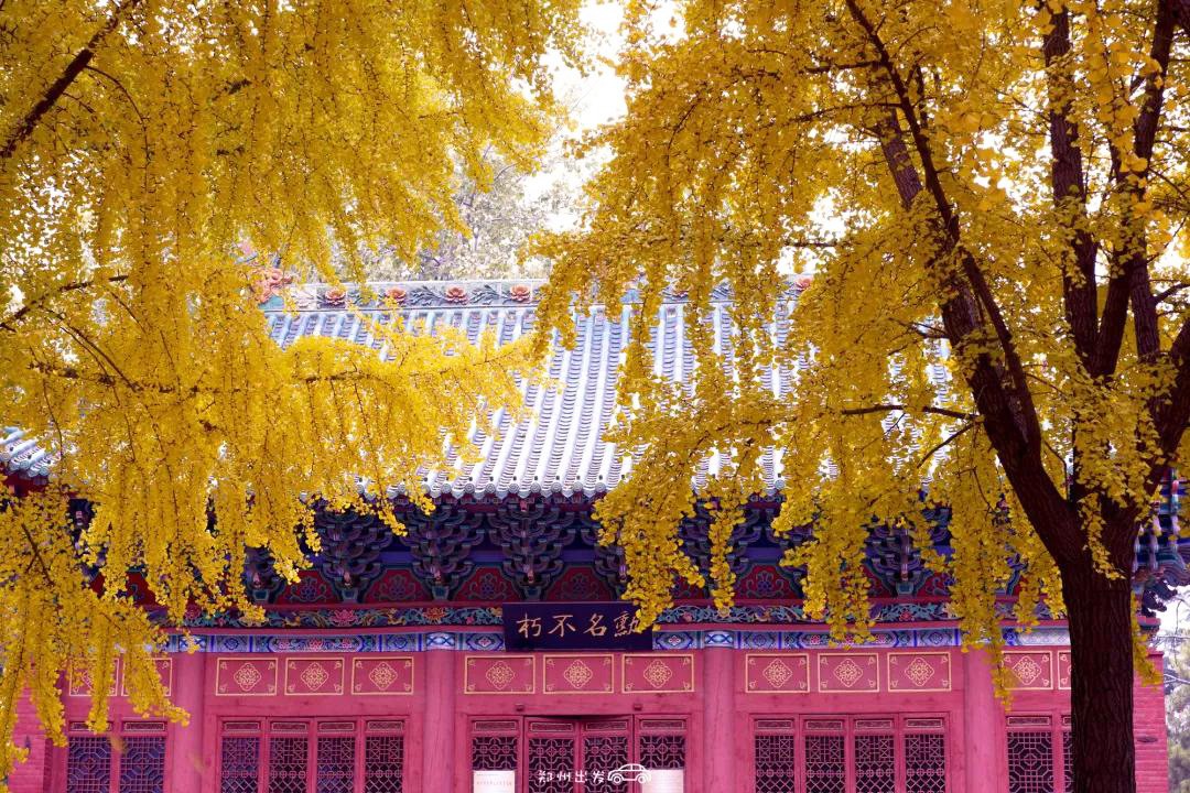 郑州漂亮的秋色风景,郑州的这些湖畔藏着最美的秋色