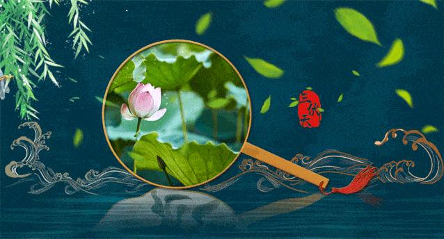 大暑：生如夏花之绚烂，正是我回家的时候