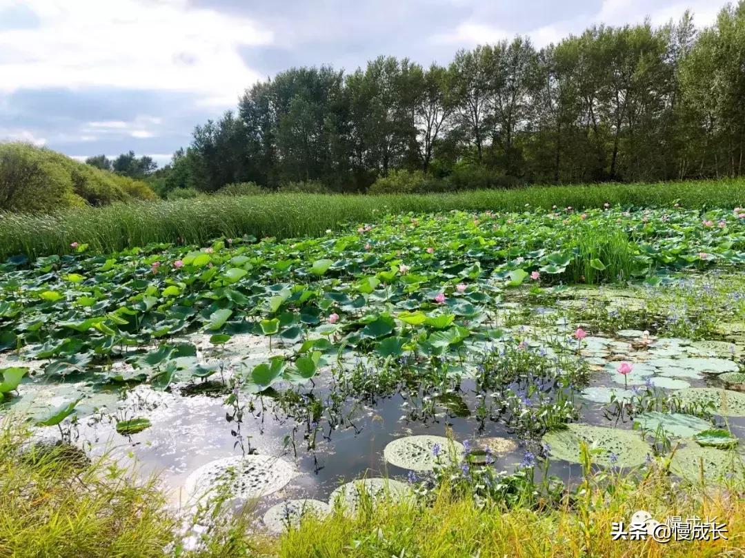 哈尔滨去威海亲子游,哈尔滨旅游攻略亲子游四天三夜