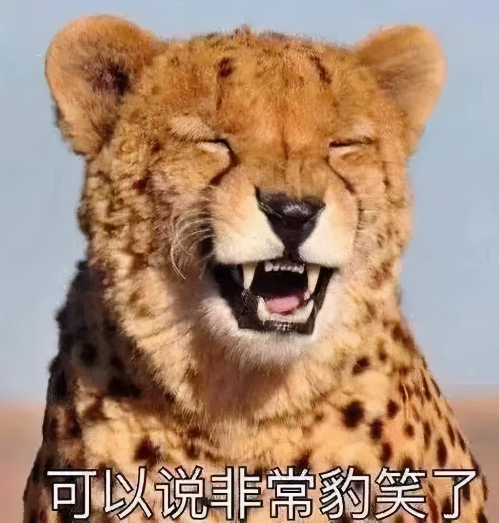 0-3个月宝宝玩具秒杀,0-3个月宝宝玩具高档玩具