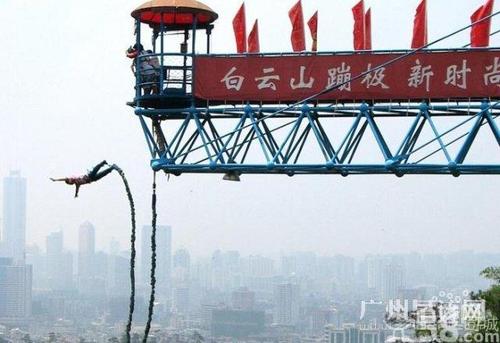 高职高考科贸,高职高考广东科贸职业学院