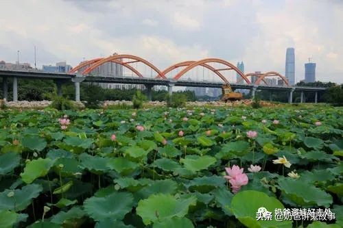 面朝大海春暖花开旅游景点,面朝大海春暖花开游玩