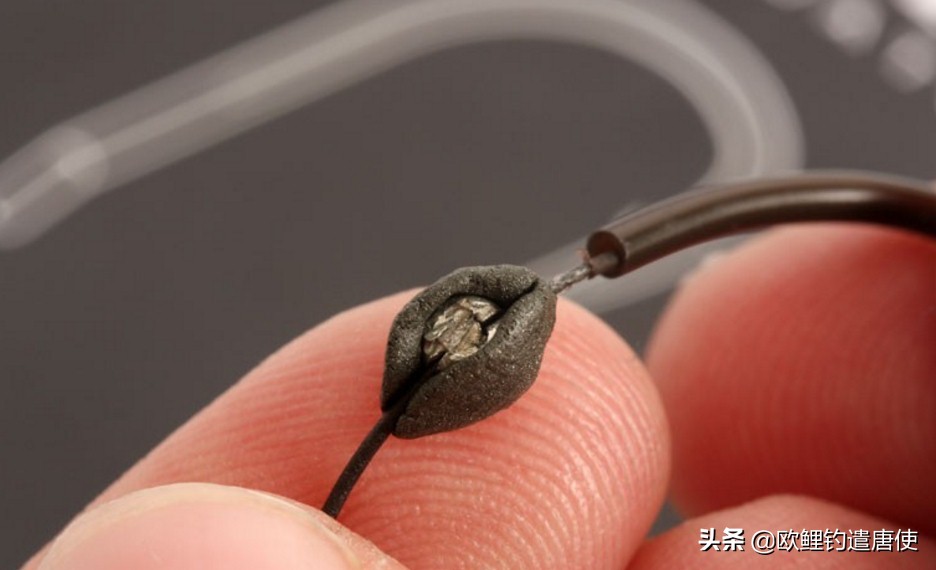 话说欧鲤钓组全集,欧鲤钓组可以钓哪些鱼