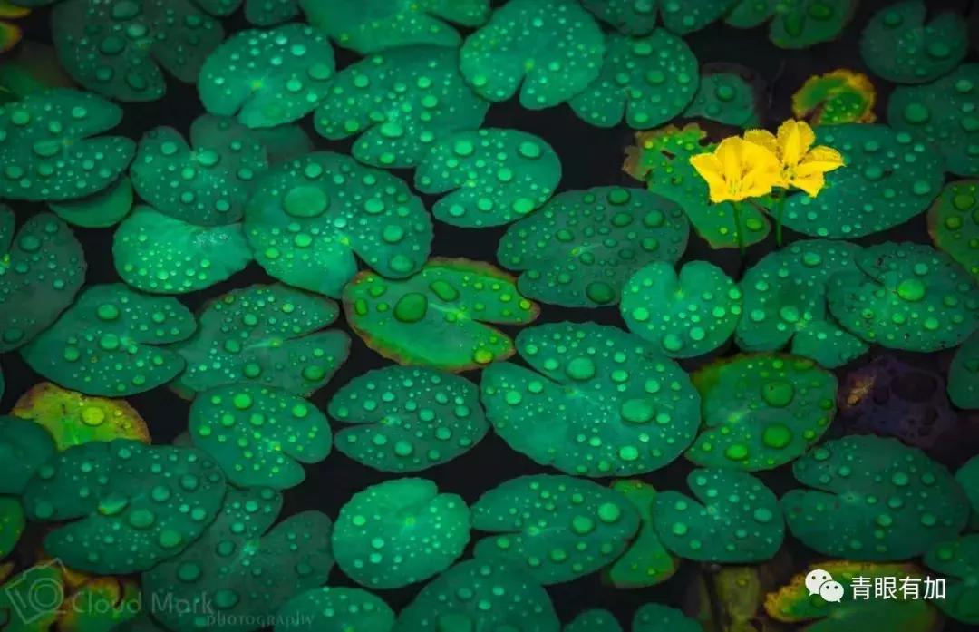 和当过“小三”的几个剩女做闺蜜是种什么体验?