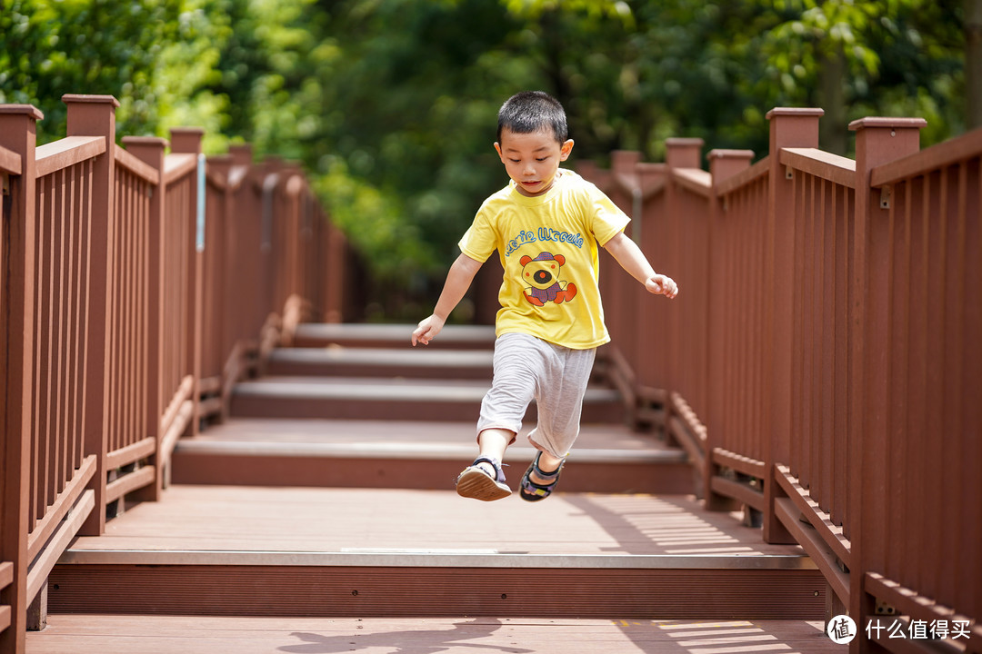 新手的第一支变焦镜头,新手第一支镜头选50还是85