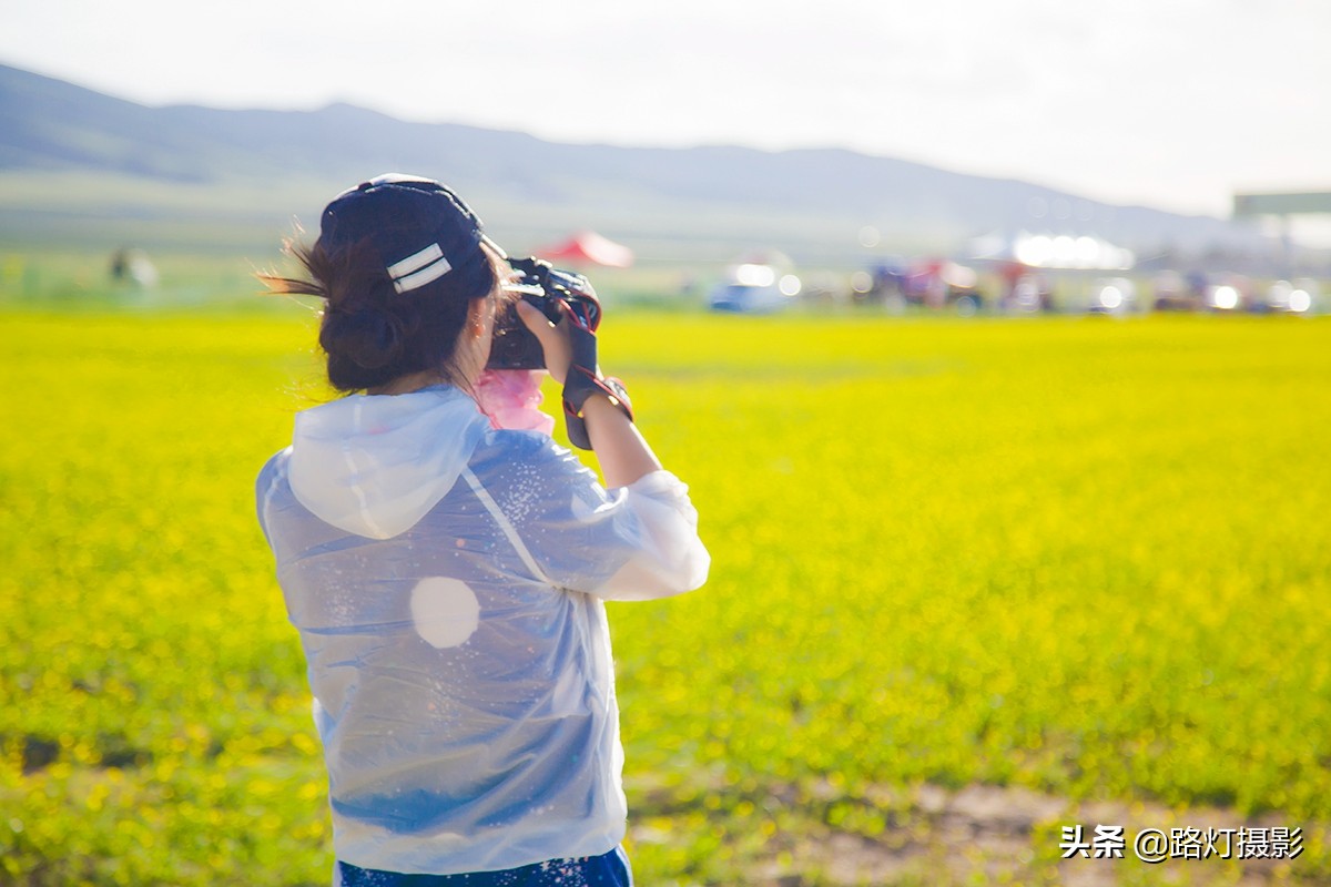 中国最适合自驾游的十大旅游胜地,夏季最适合自驾旅游的地方
