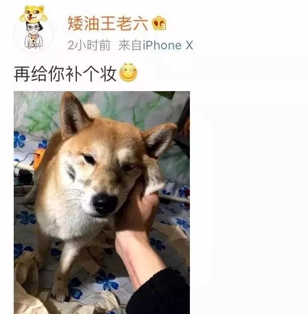 网友发不小心弄坏了女朋友口红怎么办。。。哈哈笑翻了