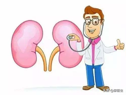 狗狗肾脏不好怎么调理,肝脏肾脏不好怎么调理