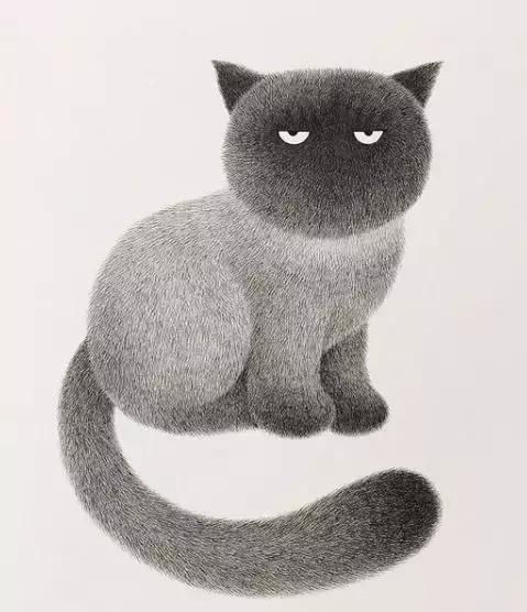 她用2元针管笔作画便惊艳了世界,他用粉笔画了一只猫