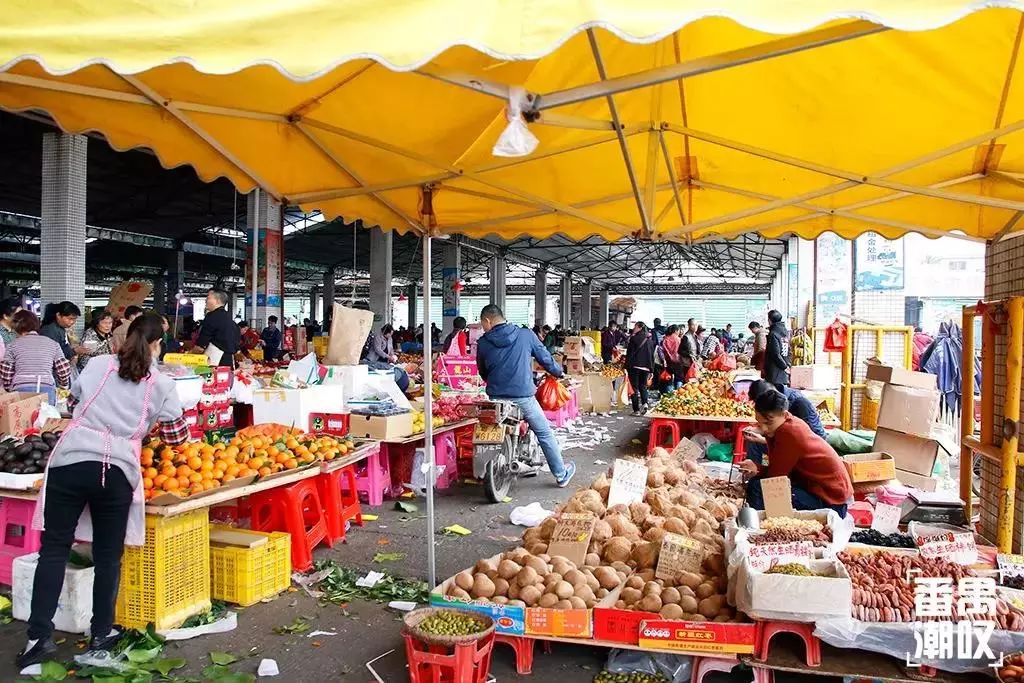 东怡新区怎么样,住在这儿的都是人生赢家