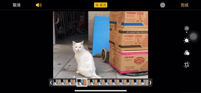 iphone自带自定义相册软件,iphone相册最好用的四个功能