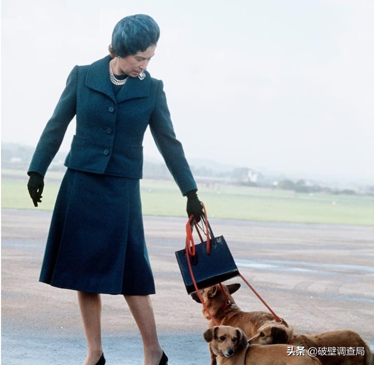 英国女王穿衣为什么好看,英女王穿什么衣服好看