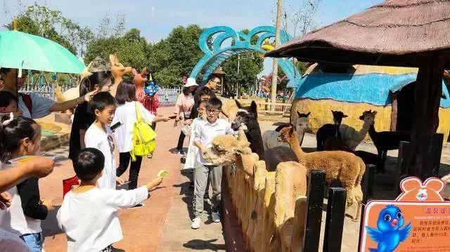 田园嘉乐比-国庆献豪礼!乐园超值游玩攻略