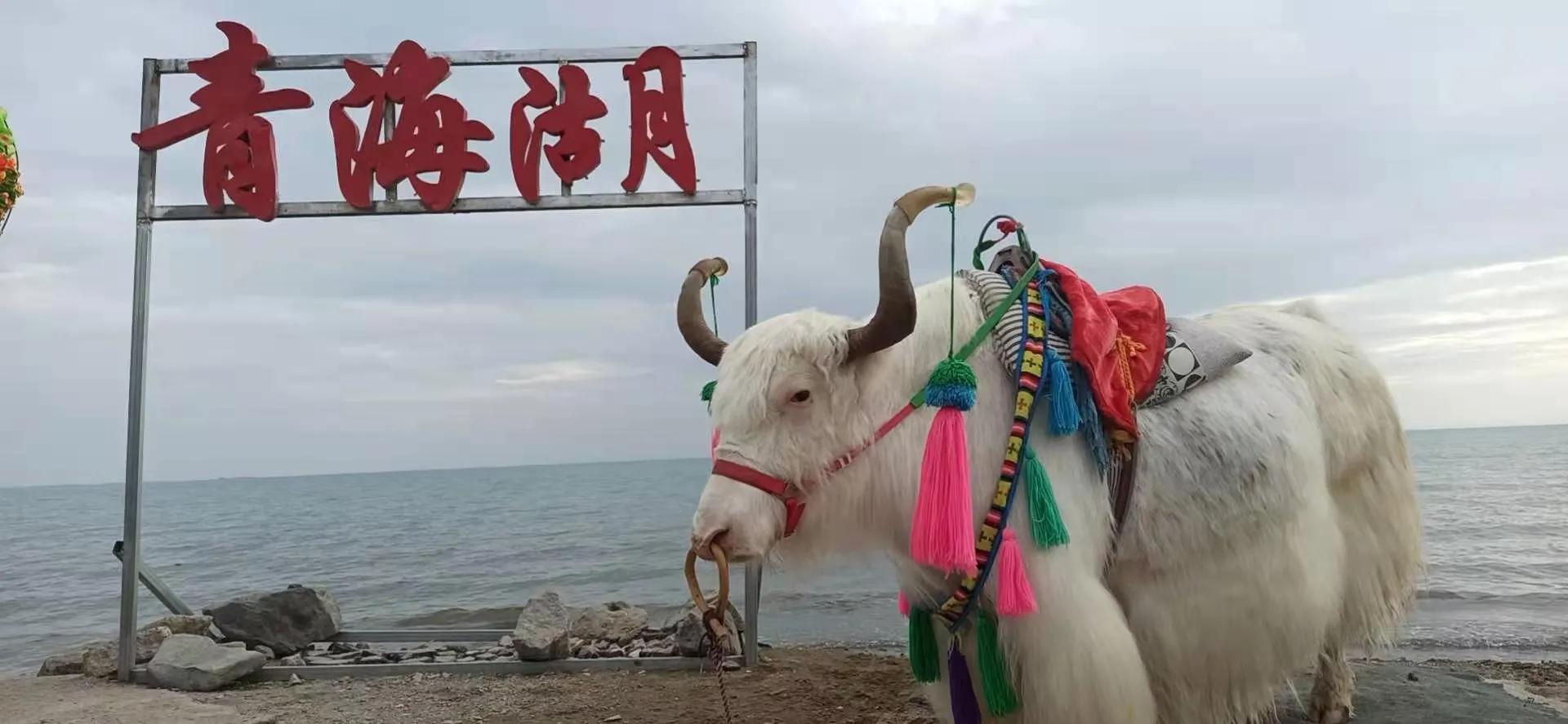 圣藏之旅第四日——思考蜕变之旅的真实意义