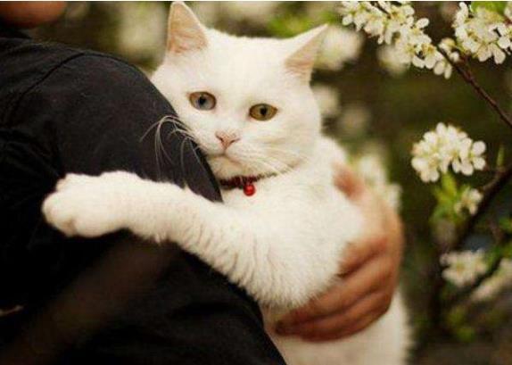 你醒醒抖音,你醒醒完整版视频