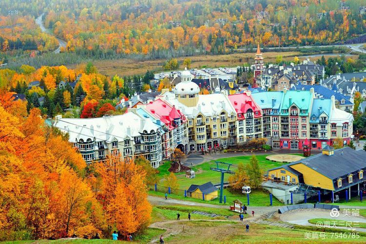 鍖楃編鏋儏閽荤煶姗℃湪,鍖楃編鏋儏鐏攨