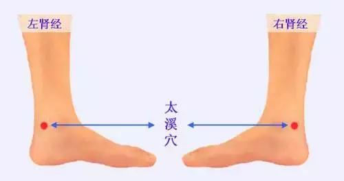 脾虚补肾为什么越补越虚,补肾越补越虚是怎么回事