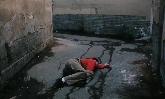 可惜没在中国上映的电影,李冰冰05年电影