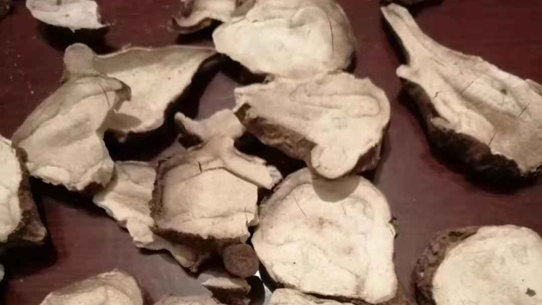 为什么火神派附子用量大,火神派药材