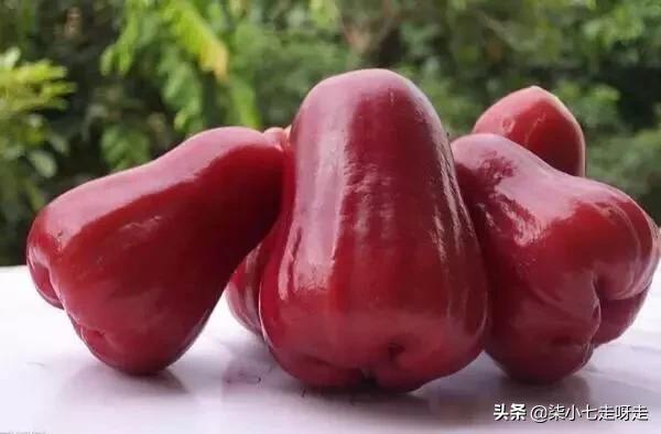 到马来西亚旅游,水果控一定不要错过这6种水果!