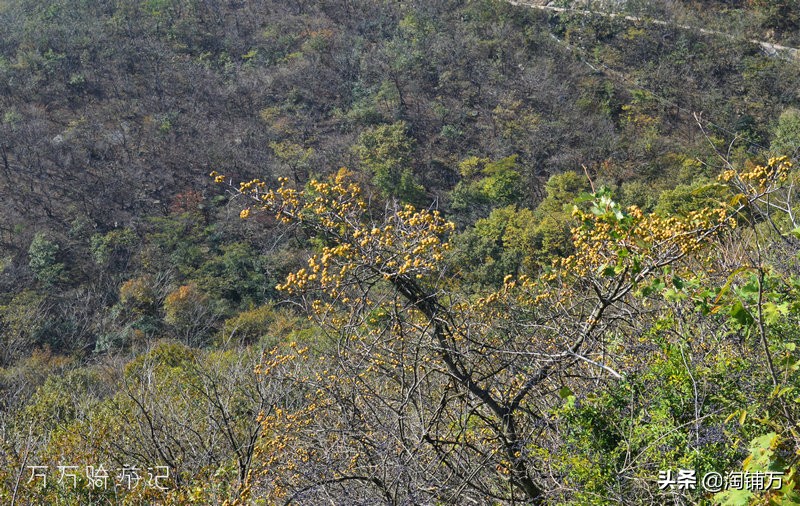 趁青春多折腾,趁着年轻四处游一游