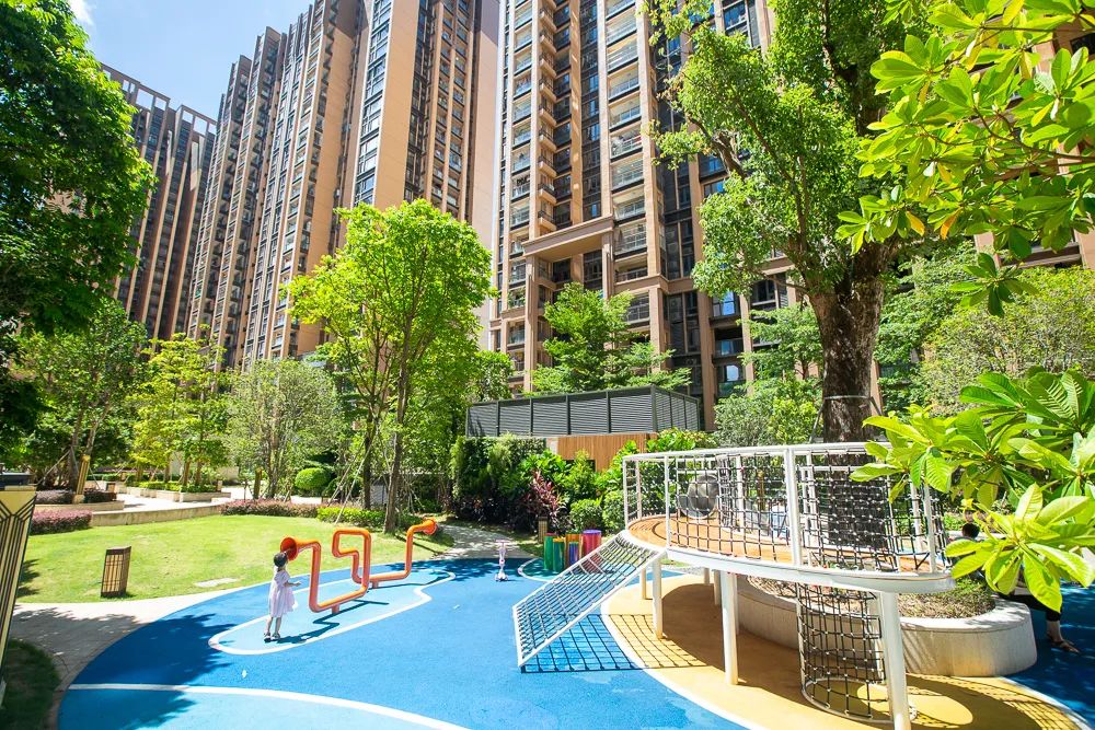 深圳公寓坑人吗,深圳公寓出租骗局