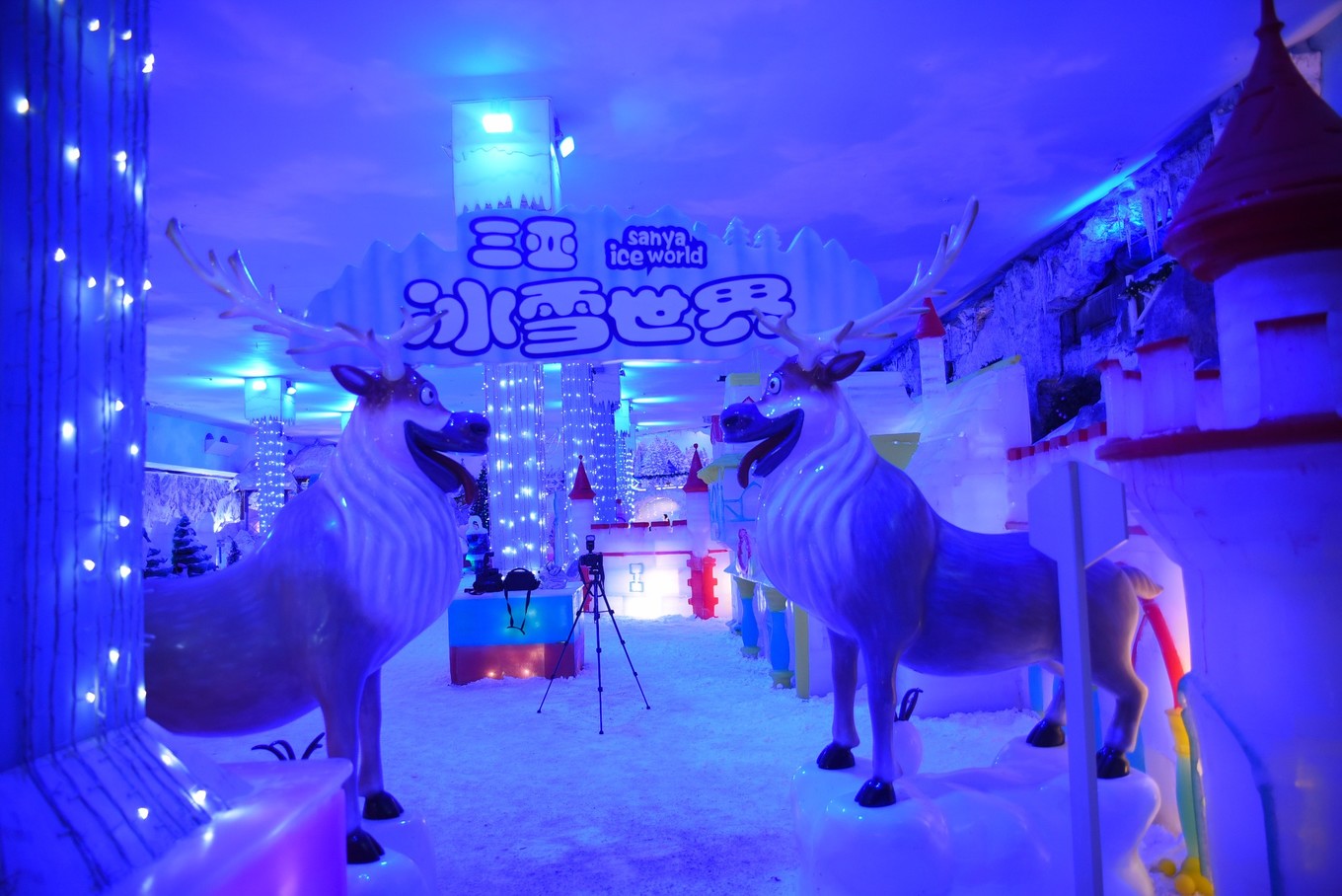 宋城千古情哪个区好,宋城千古情哪排的位置好