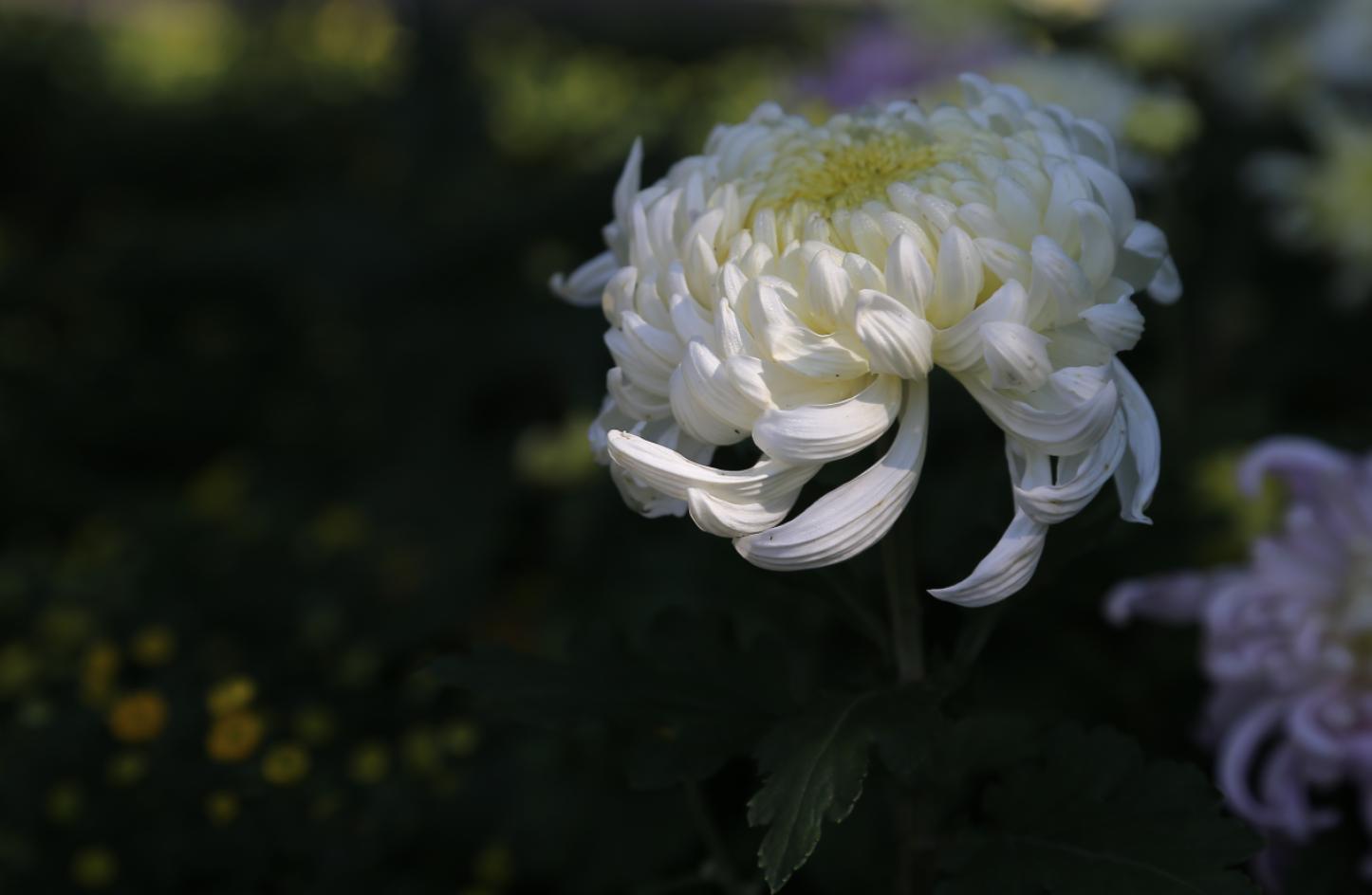 摄影后期如何处理颜色,摄影照片后期处理教程