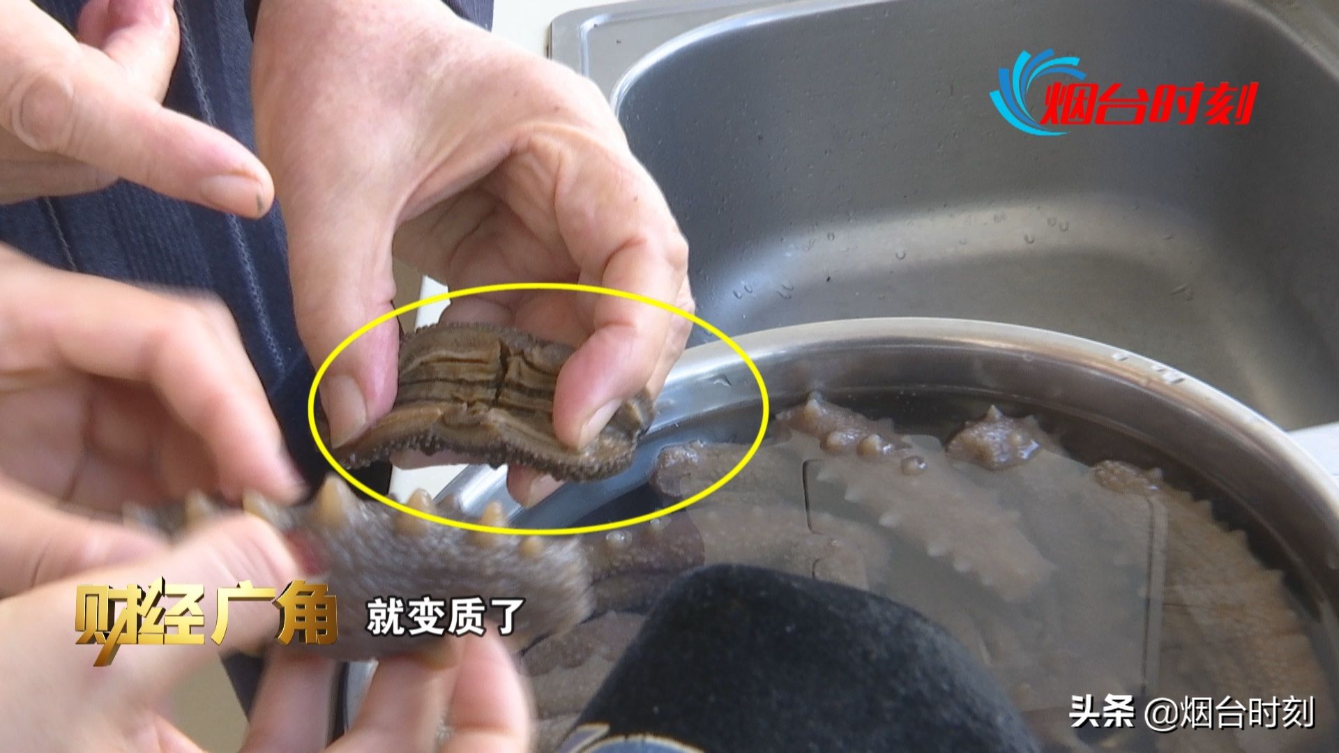 电视台卖假海参,电视台卖劣质海参