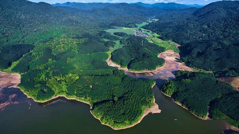 西双版纳简介是在哪里,西双版纳植物园概况