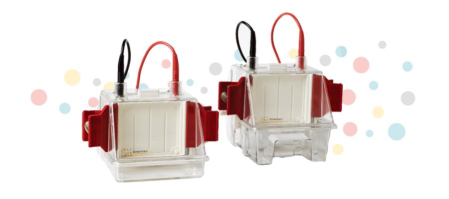 sebia鐢垫吵浠櫒,se250