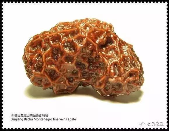 捡到这些石头不要扔,在海边捡到这些石头千万不要丢