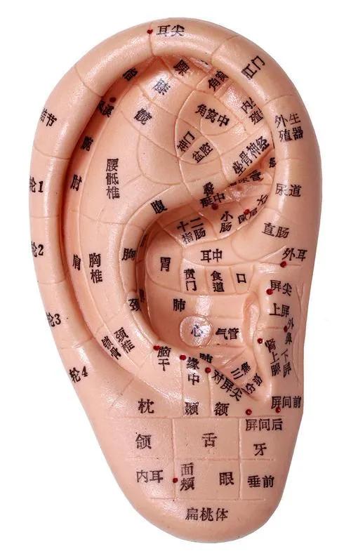 科学生儿育女技巧,中医治疗不孕症常用的偏方有哪些