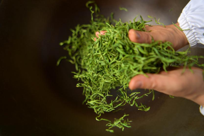 绿茶鲜爽感是因为什么,绿茶品质形成条件