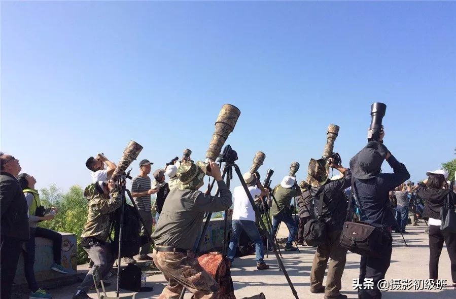 拍鸟悬停如何拍,山野鸟趣野外拍鸟