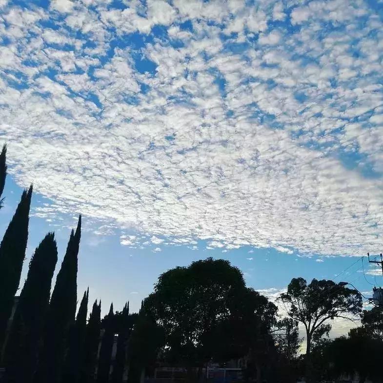 背景图推荐全白,背景图精选好物