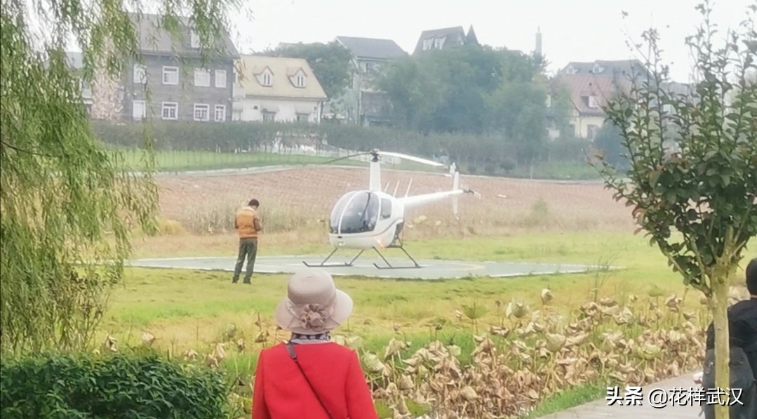 武汉花博汇一天游玩大概多少钱,武汉花博汇值不值得玩