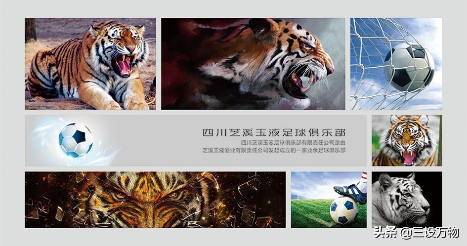 三设万物|ZHIXITIGERS足球俱乐部形象设计