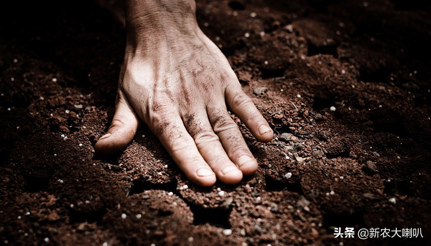 给土壤浇水可以判断土壤酸碱度吗,土壤酸碱度是怎么测的