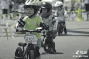 15款平衡车大摸底 (平衡车大摸底)