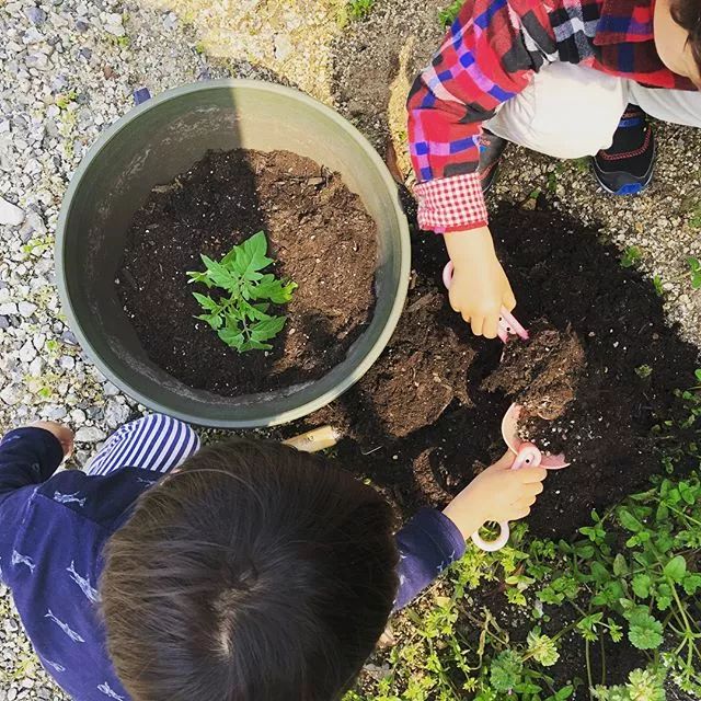 这个日本妈妈晒出的房子让无数网友狂赞，看看她是怎么做到的？​