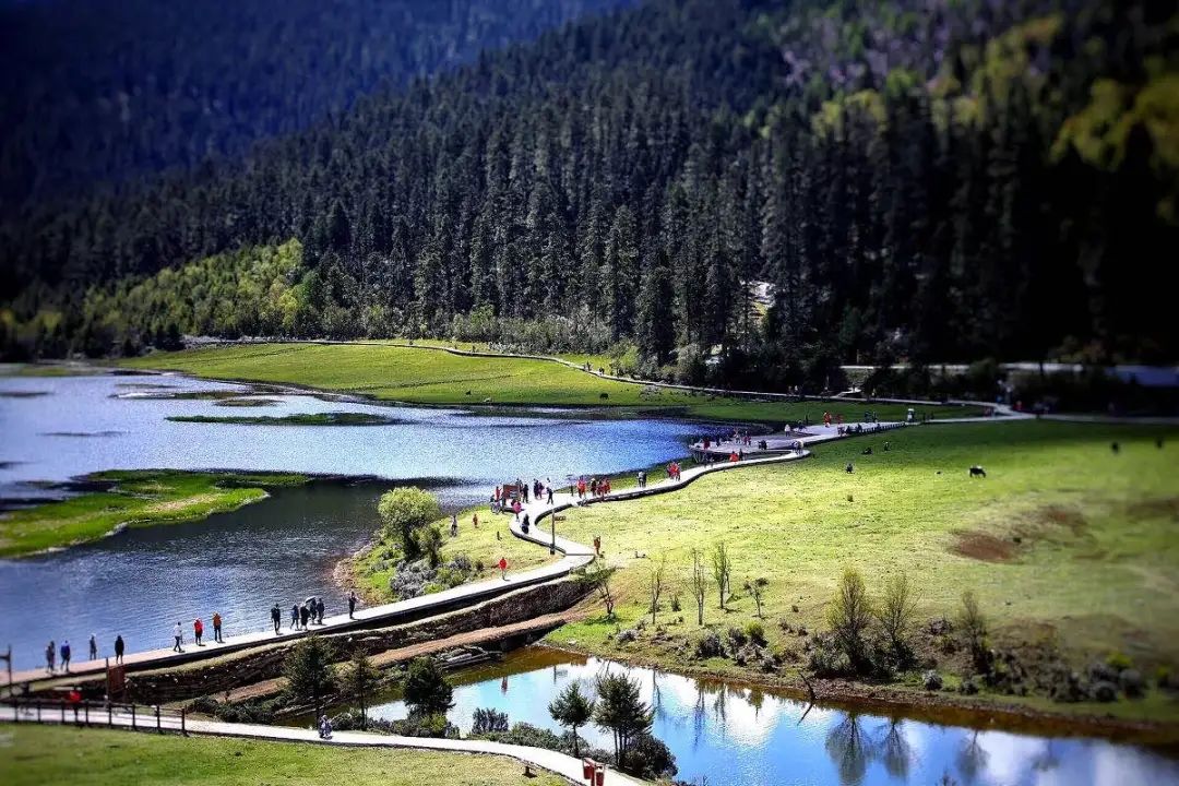 带你Get《司藤》同款神仙美景，春天的香格里拉这样玩