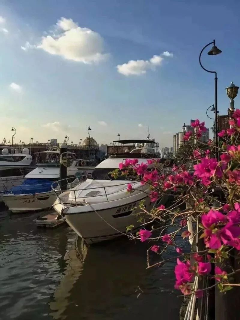 干货丨在广州来这拍照就对啦，制霸朋友圈从今天开始