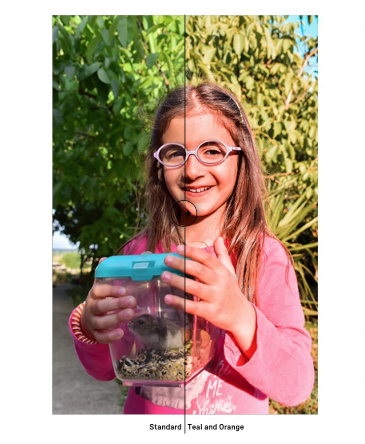 智云weebills搭配适马fp,适马fp最轻的镜头