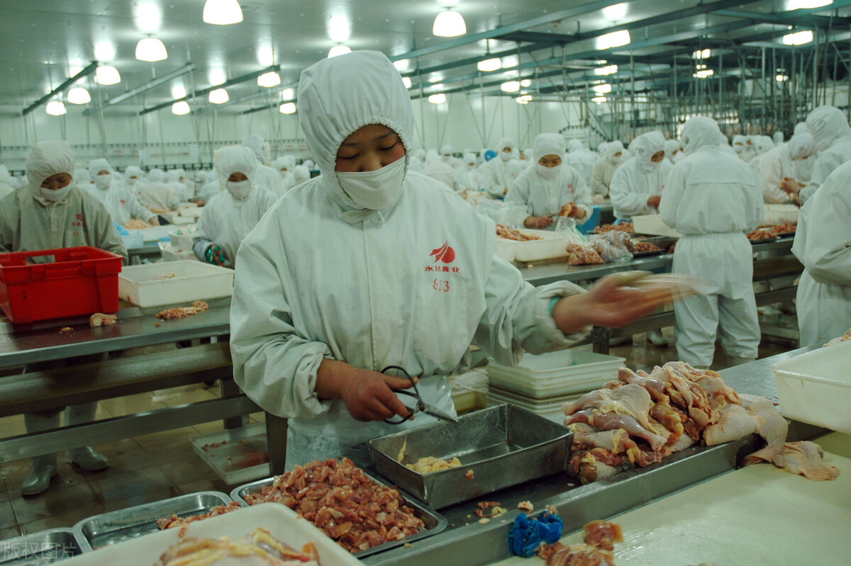 预制菜和料理包哪个发展潜力好,预制菜和料理包市场的发展前景