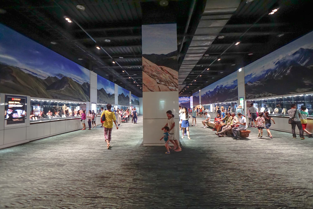 台湾绮丽粉珊瑚,台湾绮丽珊瑚工业