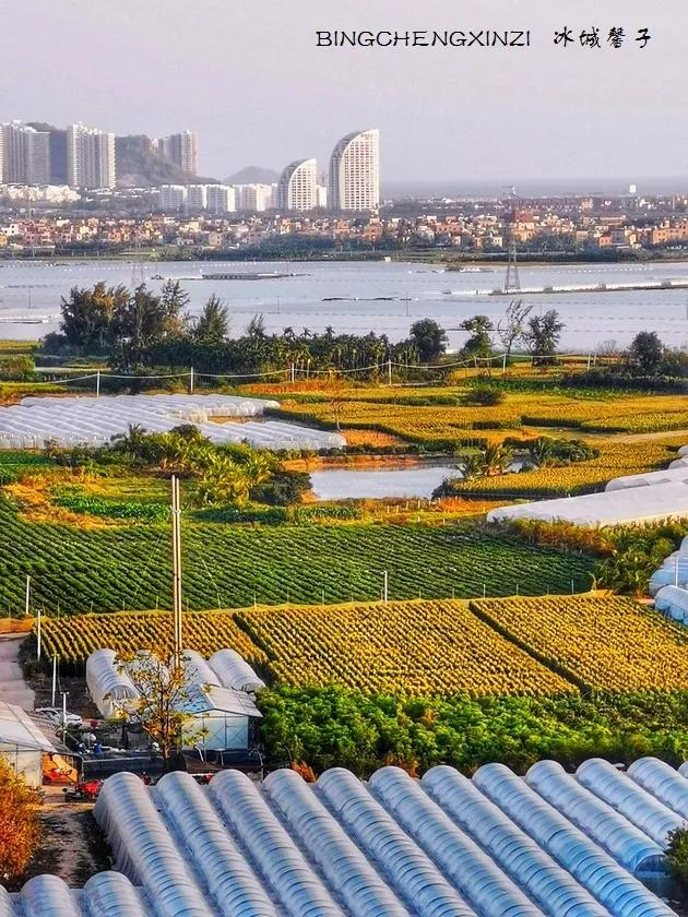 我的旅居生活90多天,我的旅居海南生活系列