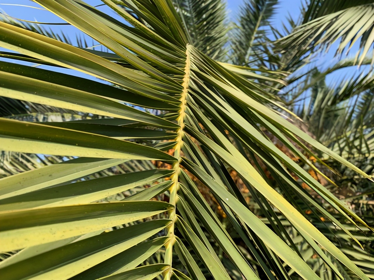 闹离婚可以把孩子偷偷抱走吗,想离婚把小孩带走对方不给怎么办