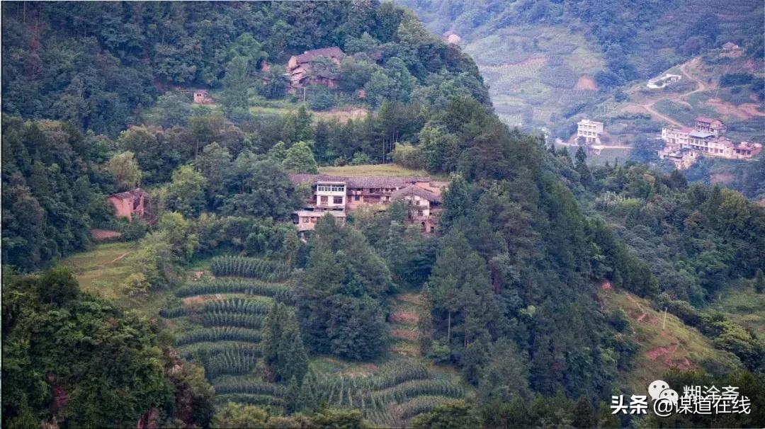 苏马荡美景随拍,利川苏马荡绿岛印象养生谷班车