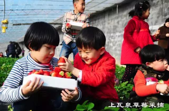 你好!我叫博山,这是我的简历......,转自博山微生活)